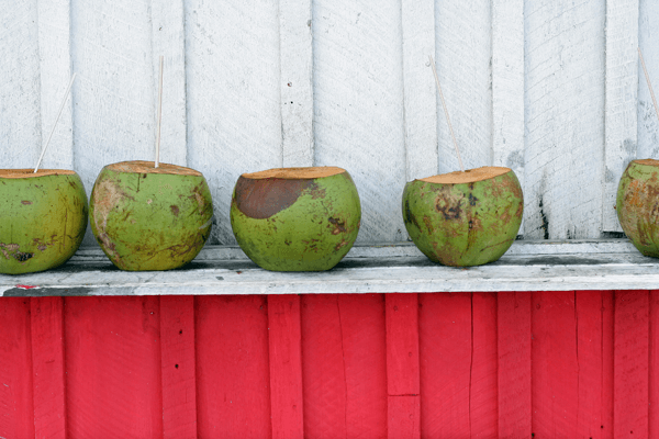 4 Reasons Why Coconut Water is Better for You Than Sports Drinks