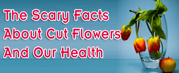 The Scary Facts About Cut Flowers and Our Health