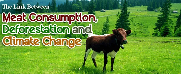 The Link Between Meat Consumption, Deforestation and Climate Change The Link Between Meat Consumption, Deforestation and Climate Change