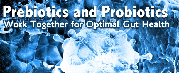 Prebiotics and Probiotics Work Together for Optimal Gut Health Prebiotics and Probiotics Work Together for Optimal Gut Health