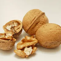 Men: Low Toxicity Levels and High Walnut Intake Boost Sperm Health Men: Low Toxicity Levels and High Walnut Intake Boost Sperm Health