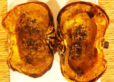 Winter Delight: Roasted Sage-Orange Squash Recipe Winter Delight: Roasted Sage-Orange Squash Recipe
