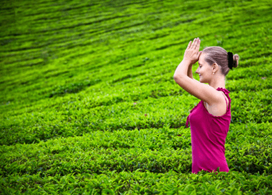 Meditation Improves Quality of Life in Breast Cancer Patients