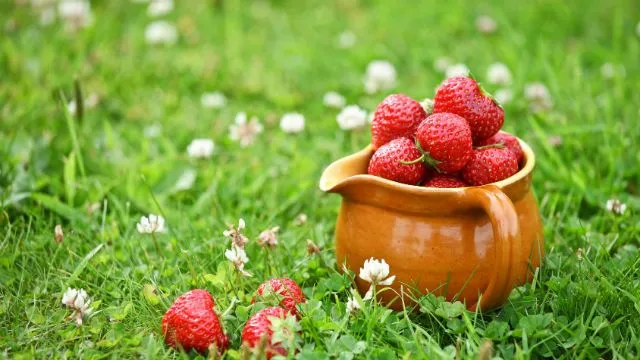 strawberrie
