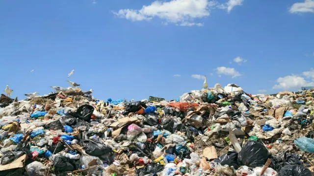 food waste