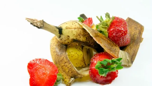 Fruit waste on a white background