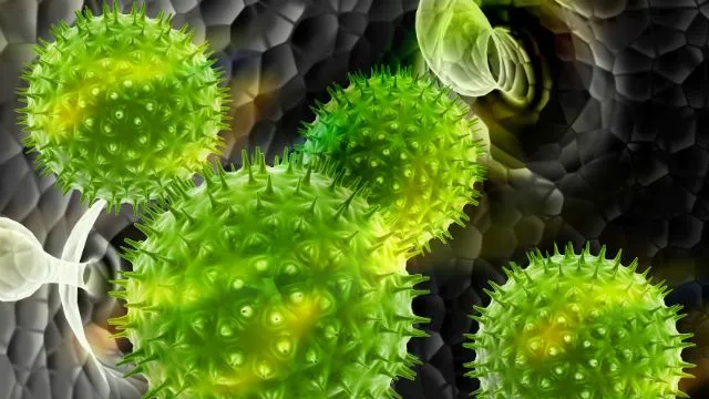 germs