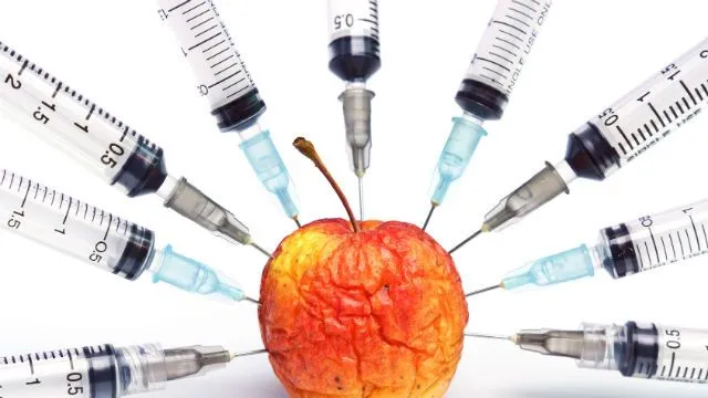 gmo