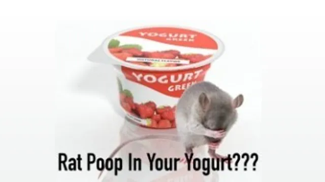 rat poop