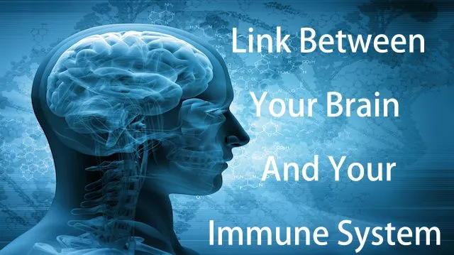 link brain