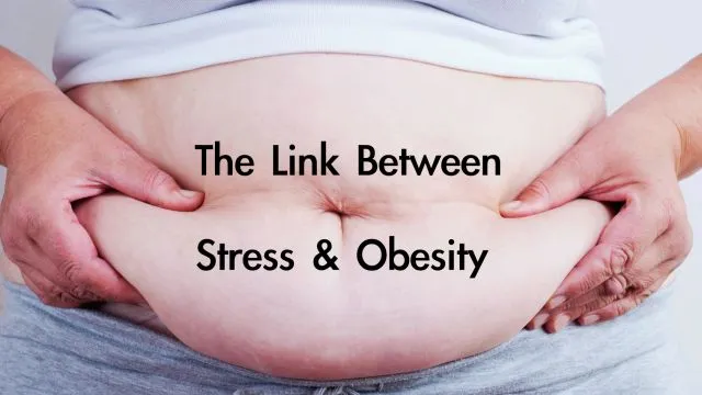 Fat