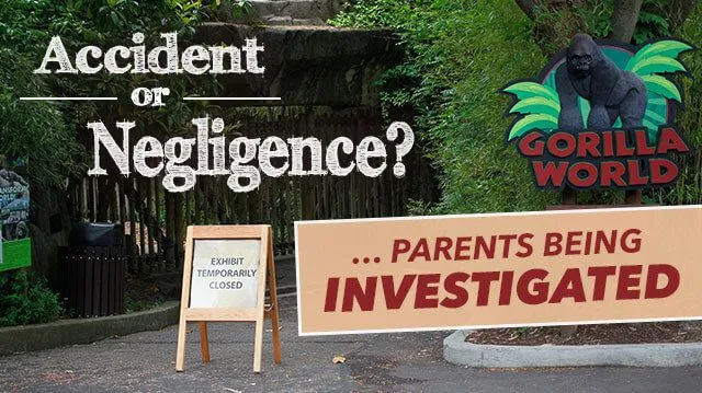 accidentornegligence_640x359