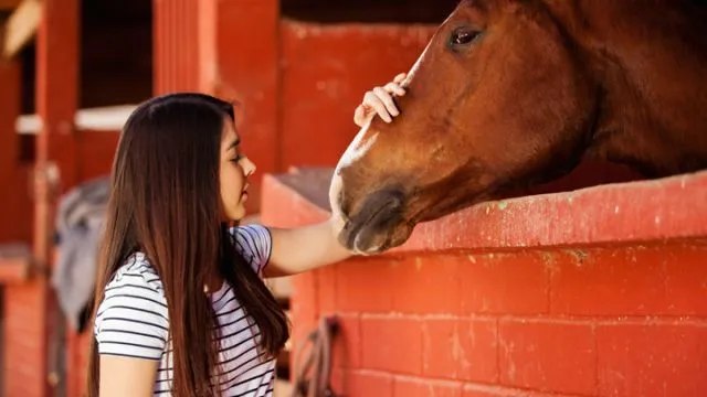equine-therapy-offers-many-benefits