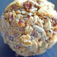 No-Bake Vegan Snack