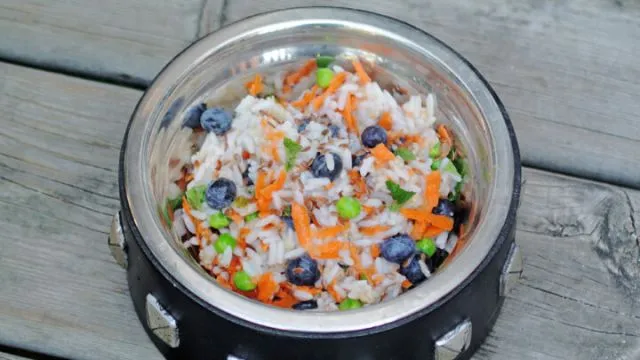 Dogfood1 (1)