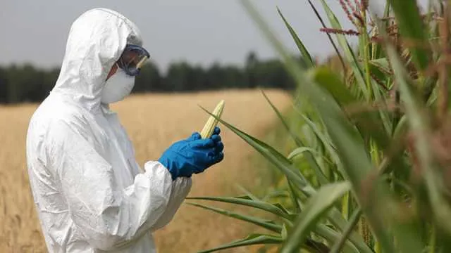 GMO Debate
