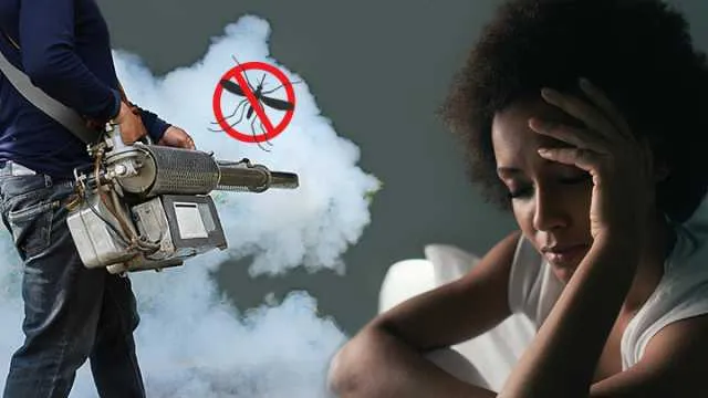 How insecticides might be ruining your sleep