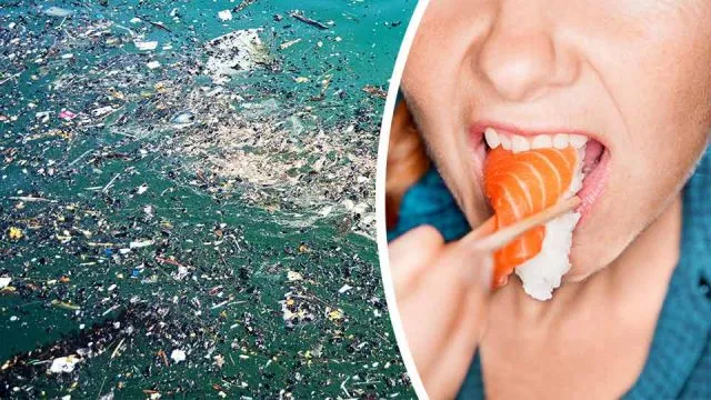 2thegreatpacificgarbagepatchhasgrown16xhereswhatitmeansforseafoodeaters_featured_960x540